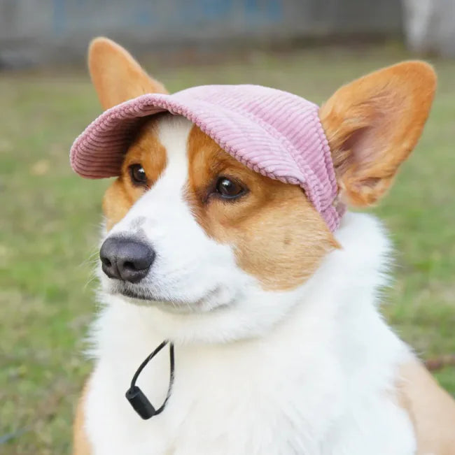 Pet Casual Hat